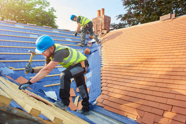 Best Chimney Flashing Repair  in Hackberry, TX